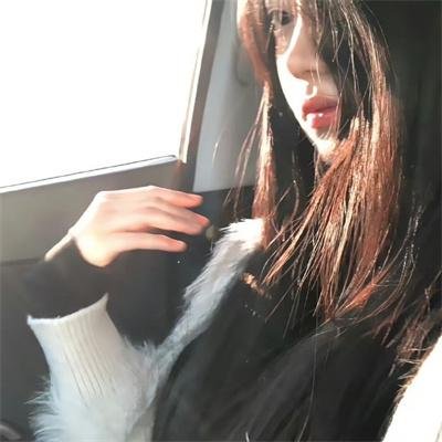 羊狼共和国:猪事大急